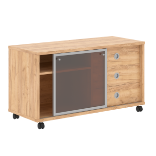 Тумба мобильная с дверью купе В 202.2